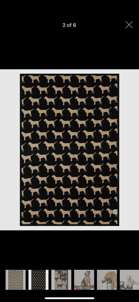 Chappy Wrap MIDI Blanket Collection